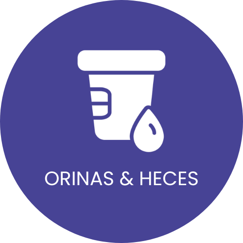 orinas y heces