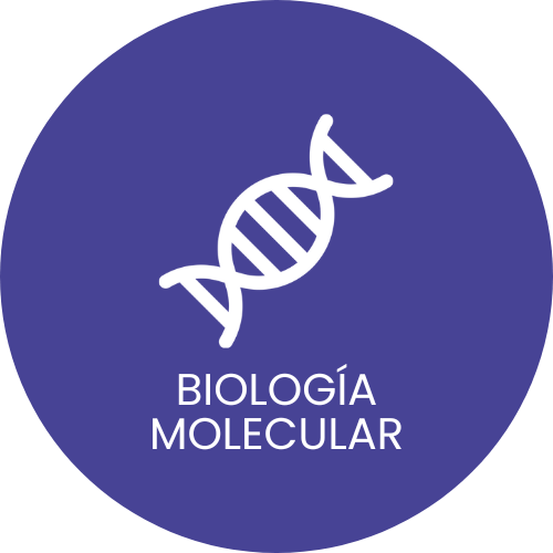 biologia molecular