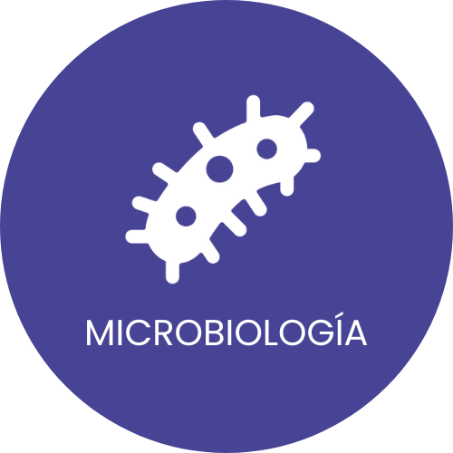 Microbiologia